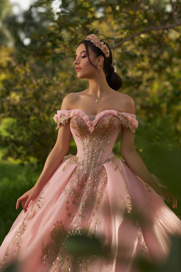Shankara ENS8411 — Quinceañera dress Sacramento — Boutique Moroleon