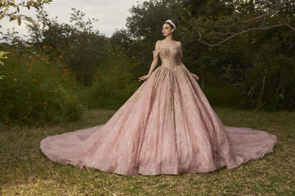 Shankara ENS8410 — Quinceañera dress Sacramento — Boutique Moroleon