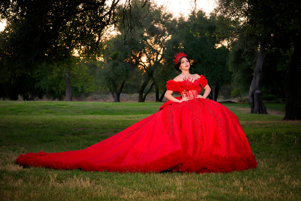 How to Choose a Quinceañera Theme (Start With the Dress First!!!) — Boutique Moroleon
