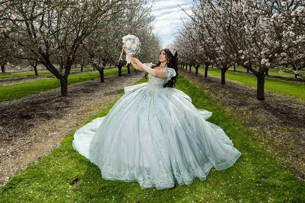 Where Can I Find Quinceañera Dresses for Immediate Purchase Near Me? — Boutique Moroleon