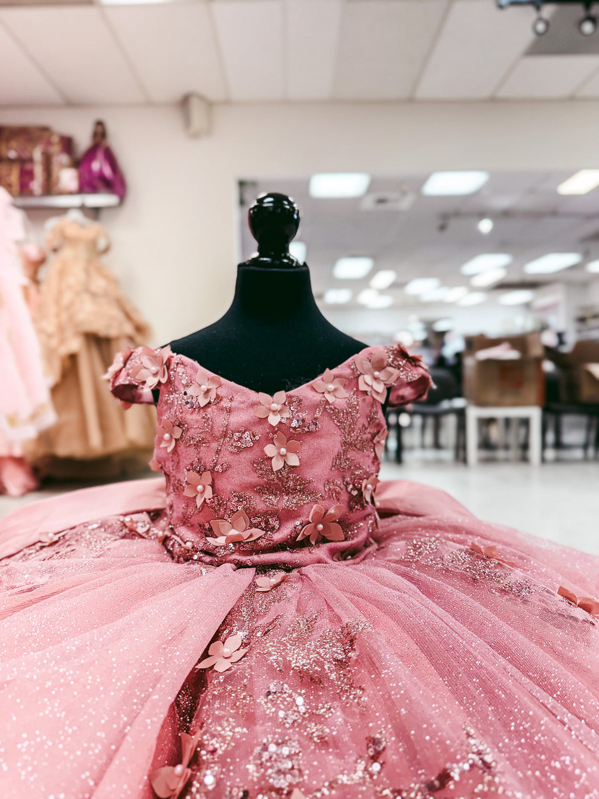 Rose Garden Bow Mini Quinceañera Gown