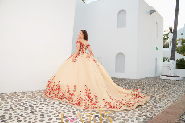Lovely15 LV2001 — Quinceañera dress Sacramento — Boutique Moroleon