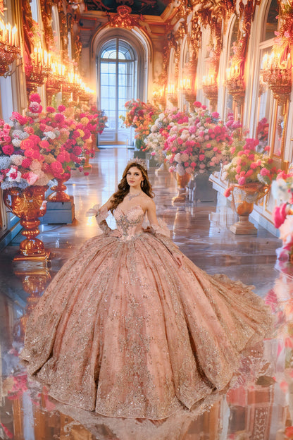 Princesa PR70104
