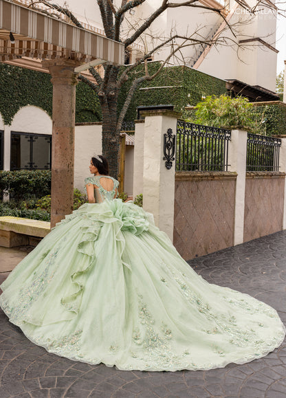 Alta Couture RQ3163