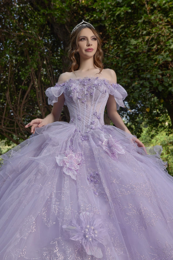 Shankara ENS8417 — Quinceañera dress Sacramento — Boutique Moroleon